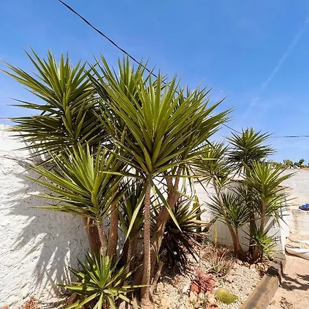 Apartment Galana Les Cases d'Alcanar
