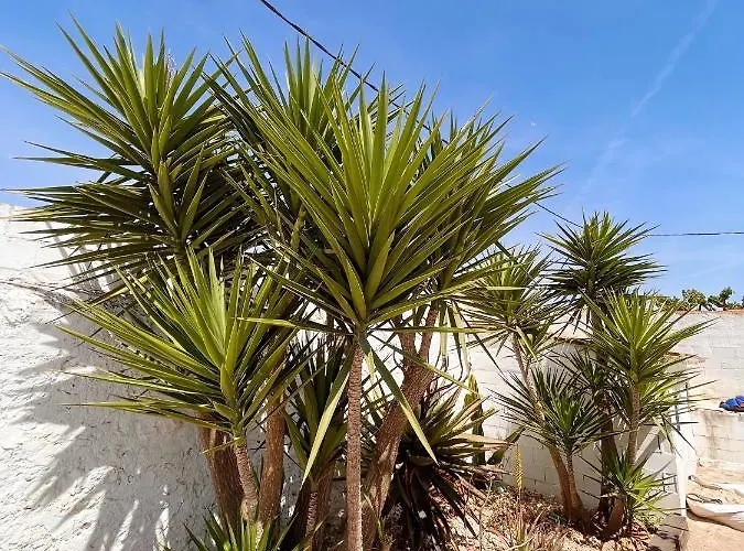 Apartmán Galana Les Cases d'Alcanar